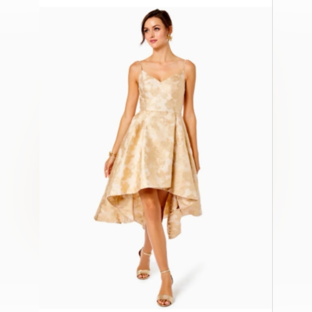 NWT Lilly Pulitzer Alisalynn Brocade Gold Floral Party Dress ⭐️